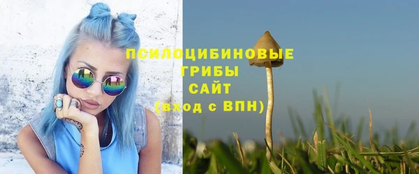 мдпв Строитель