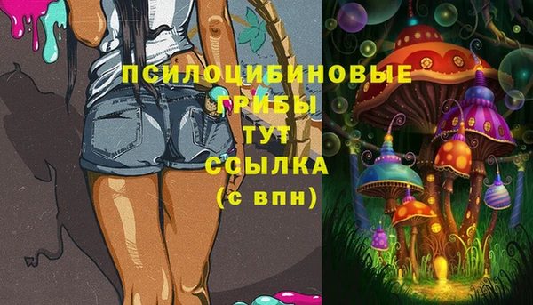 стафф Михайловск