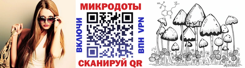 Галлюциногенные грибы Psilocybine cubensis  Тара 