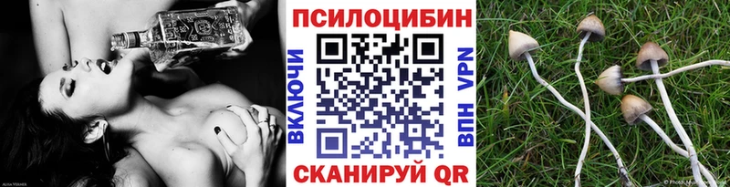 Псилоцибиновые грибы ЛСД Тара