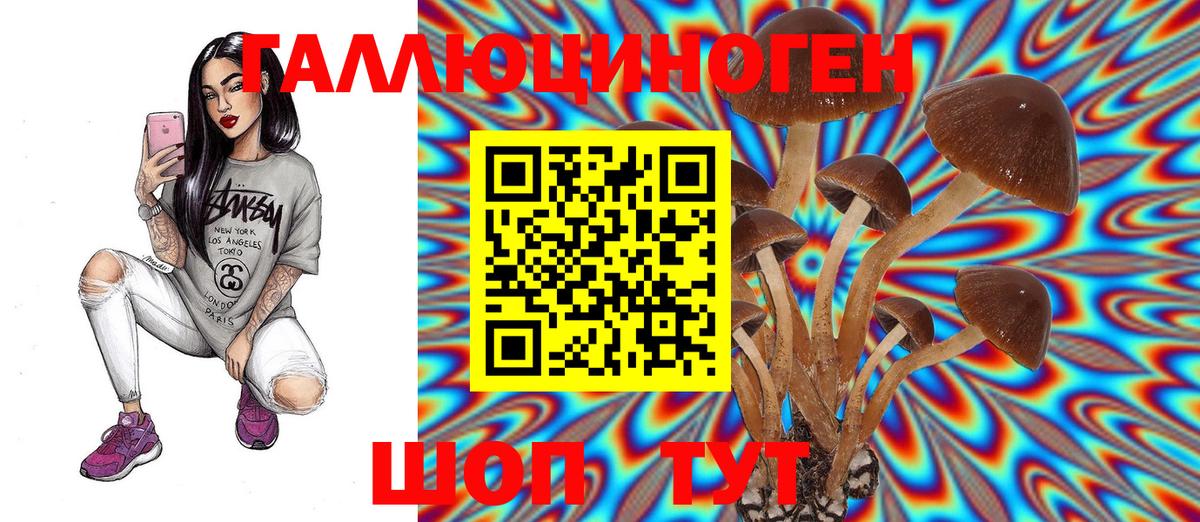 Псилоцибиновые грибы Cubensis  Тара 