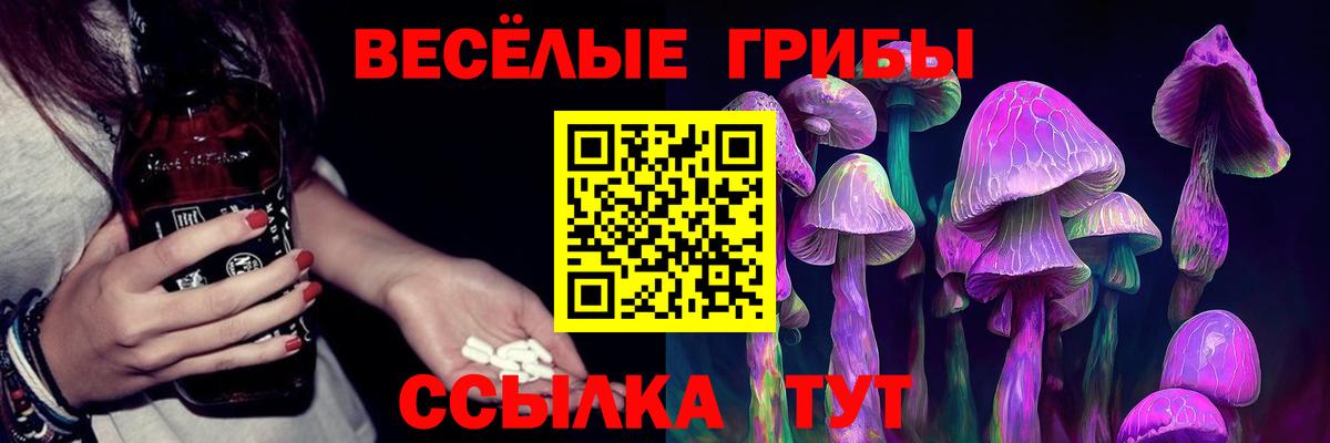 Галлюциногенные грибы мицелий  Вход с VPN  Тара 