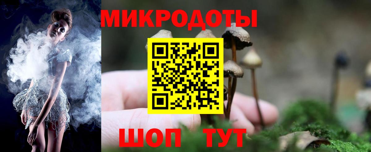 Псилоцибиновые грибы Magic Shrooms Тара